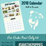 2018 Milk & Furiends Calendar