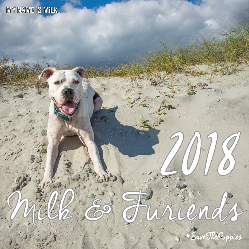 2018 dog calendar cover